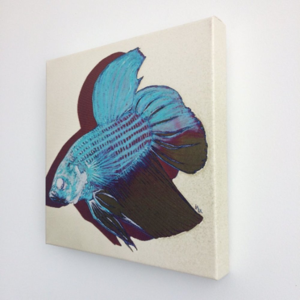 Beta Fish - Original Wall Art print on 12 x 12 canvas - Picture 3 of 6